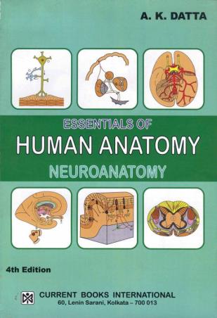 Book cover number 1 for Essential Of Human Anatomy, Neuroanatomy written by A. K. Datta published by Current Books International