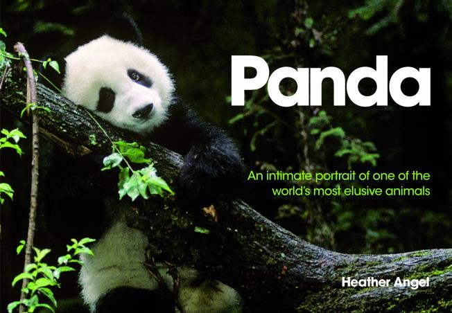 Book cover number 1 for Panda : An Intimate Portrait Of One Of The World's Most Elusive Characters written by Heather Angel published by Fw Media