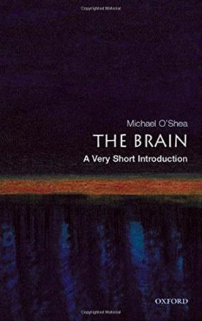 Book cover number 1 for The Brain : A Very Short Introducttion written by Michael O' Shea published by Oxford University Press
