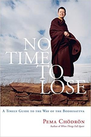 Book cover number 1 for No Time To Lose : A Timely Guide To The Way Of The Bodhisattva written by Pema Chodron published by Shambhala