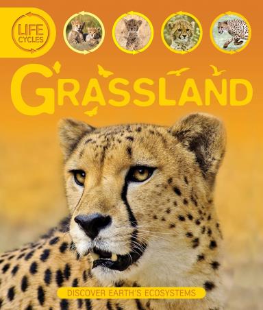 Book cover number 1 for Grasslands (Life Cycles) written by Sean Callery published by Kingfisher