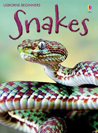 Book cover number 1 for Snakes (Usborne Beginners) written by James Maclaine, Paul Parker published by Usborne