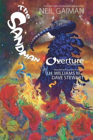 Book cover number 1 for The Sandman written by NA published by Vertigo