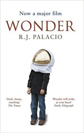 Book cover number 1 for Now A Major Film Wonder written by R. J. Palacio published by Rupa Publications India