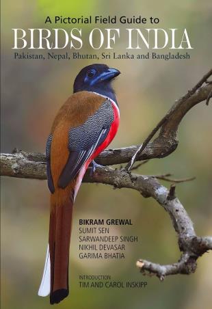 Book cover number 1 for A Pictorial Field Guide To Birds Of India written by Bikram Grewal, Sumit Sen, Sarwandeep Singh published by Om Books