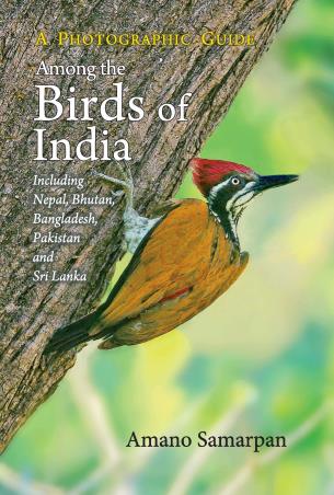 Book cover number 1 for Among The Birds Of India : A Photographic Guide written by Amona Samarpan published by Wisdom Tree