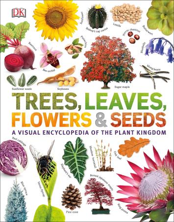 Book cover number 1 for Trees, Leaves, Flowers & Seeds A visual Encyclopedia Of The Plant Kingdom written by NA published by DK