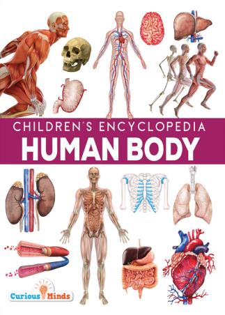 Book cover number 1 for Children's Encyclopedia : Human Body written by NA published by Pegasus