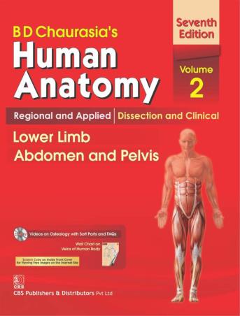 Book cover number 1 for Human Anatomy Volume 2: Regional and Applied / Dissection and Clinical (Lower Limb, Abdomen and Pelv written by B. D. Chaurasia published by CBS Publishers & Distributors Pvt. Ltd.