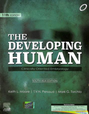 Book cover number 1 for The Developing Human Clinically Oriented Embryology written by Keith L. Moore, T.V.N Persaud, Mark G. Torchia published by Elsevier