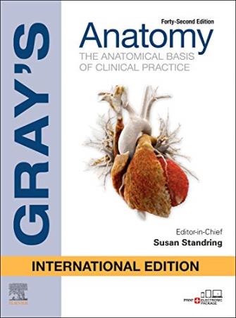 Book cover number 1 for Gray's Anatomy :  The Anatomical Basic Of Clinical Practice (International Edition) written by Susan Standring published by Elsevier