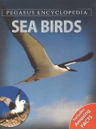 Book cover number 1 for Sea Birds (Pegasus Encyclopedia) written by NA published by Pegasus