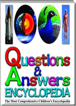 Book cover number 1 for 1001 Questions & Answers Encyclopedia written by NA published by Book Palace