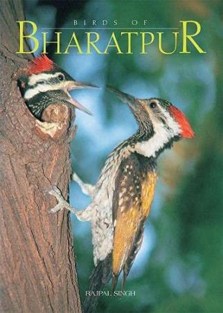 Book cover number 1 for Birds Of Bharatpur written by Rajpal Singh published by Prakash Books
