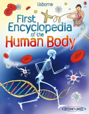 Book cover number 1 for First Encyclopedia Of The Human Body written by Fiona Chandler published by Usborne