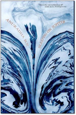 Book cover number 1 for Sleeping On Jupiter written by Anuradha Roy published by Hachette
