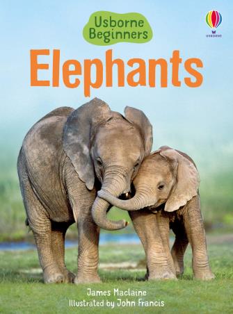 Book cover number 1 for Usborne Beginners : Elephants written by James Maclaine published by Usborne