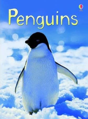 Book cover number 1 for Usborne Beginners : Penguins written by Emily Bone published by Usborne