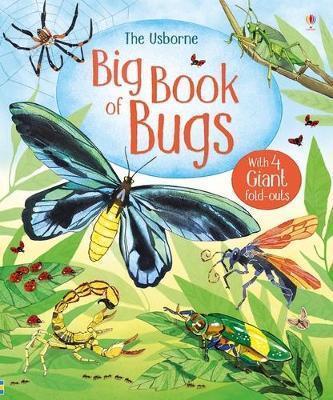 Book cover number 1 for Big Book Of Bugs written by Emily Bone published by Usborne