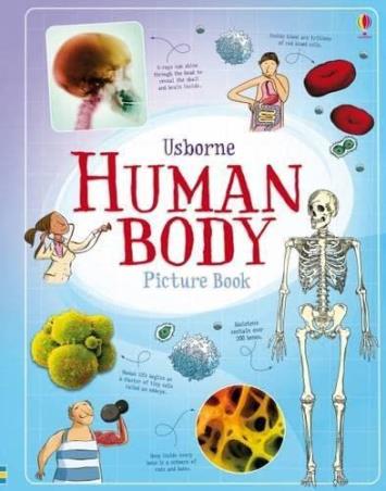 Book cover number 1 for Human Body Picture Book written by Alex Frith published by Usborne