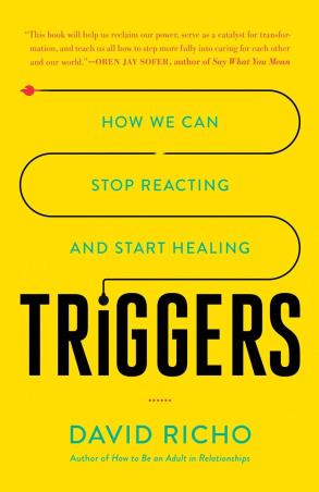 Book cover number 1 for Triggers : How We Can Stop Reacting And Start Healing written by David Richo published by Shambhala