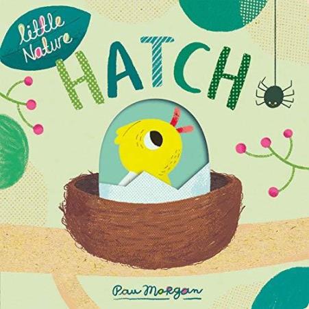 Book cover number 1 for Hatch written by Pau Morgan published by Little Tiger Press