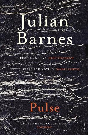 Book cover number 1 for Pulse written by Julian Barnes published by Vintage