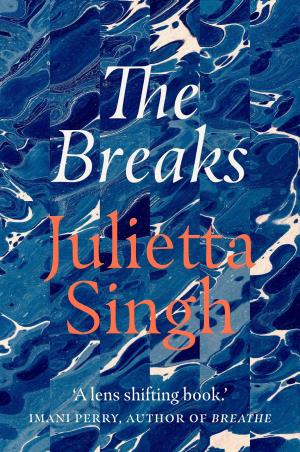 Book cover number 1 for The Breaks written by Julietta Singh published by Daunt Books