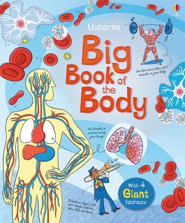 Book cover number 1 for Big Book Of The Body written by Minna Lacey published by Usborne