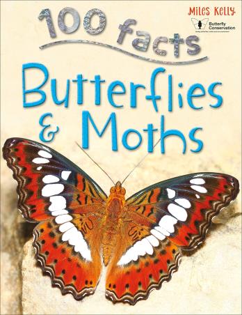 Book cover number 1 for 100 Facts Butterflies & Moths written by Steve Parker published by Miles Kelly Publishing