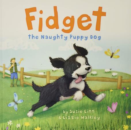 Book cover number 1 for Fidget written by Susie Linn published by Imagine That Publishing Ltd