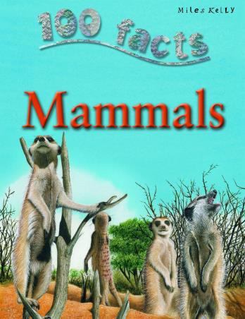 Book cover number 1 for 100 Facts Mammals written by Jinny Johnson published by Miles Kelly Publishing