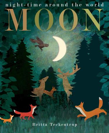 Book cover number 1 for Moon written by Patricia Hegarty published by Little Tiger Press