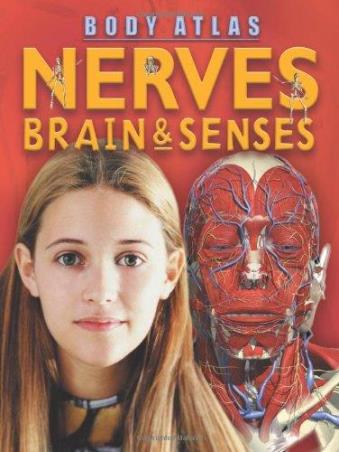 Book cover number 1 for Nerves Brain & Senses (Body Atlas) written by Steve Parker published by Octopus Publishing Group