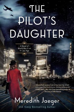 Book cover number 1 for The Pilot's Daughter written by Meredith Jaeger published by Dutton