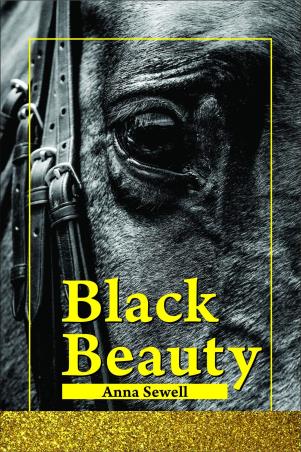 Book cover number 1 for Black Beauty written by Anna Sewell published by Vayu Education Of India