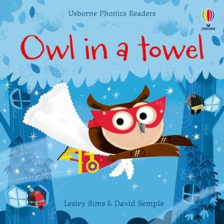 Book cover number 1 for Owl In A Towel written by Lesley Sims published by Usborne