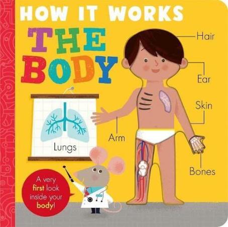 Book cover number 1 for How It Works : The Body written by Amelia Hepworth published by Little Tiger Press