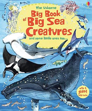 Book cover number 1 for Big Book Of Sea Creatures written by Minna Lacey published by Usborne
