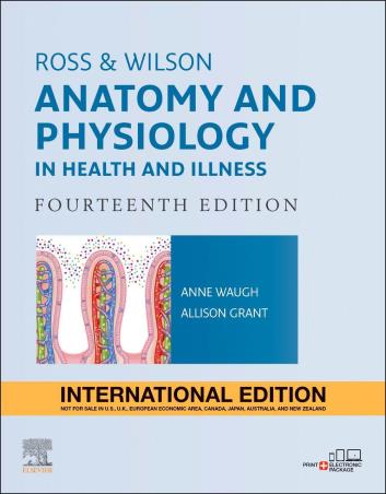 Book cover number 1 for Ross & Wilson Anatomy And Physiology In Health And Illness written by Anne Waugh published by Elsevier