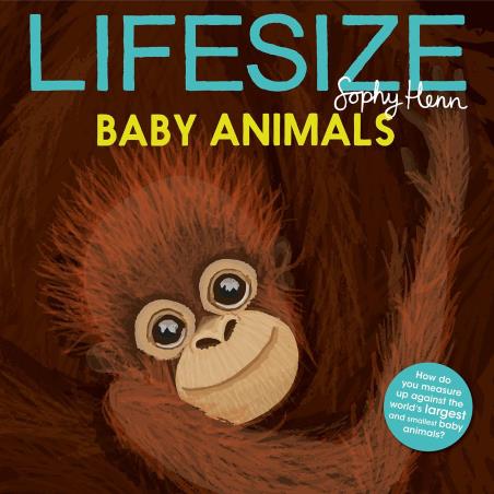 Book cover number 1 for Lifesize Baby Animals written by Sophy Henn published by Red Shed