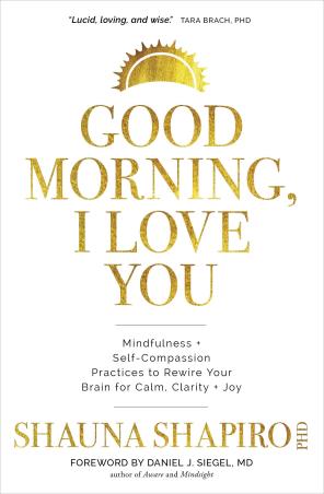 Book cover number 1 for Good Morning, I Love You written by Shauna Shapiro published by Sounds True