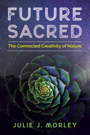 Book cover number 1 for Future Sacred : The Connected Creativity Of Nature written by Julie J. Morley published by Park Street Press