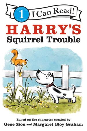 Book cover number 1 for Harry's Squirrel Trouble written by Gene Zion published by Harper Collins Publishers
