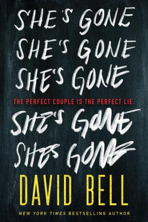 Book cover number 1 for She's Gone written by David Bell published by Source Books
