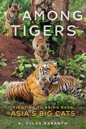 Book cover number 1 for Among Tigers : Fighting To Bring Back Asia's Big Cats written by K. Ullas Karanth published by Chicago Review Press
