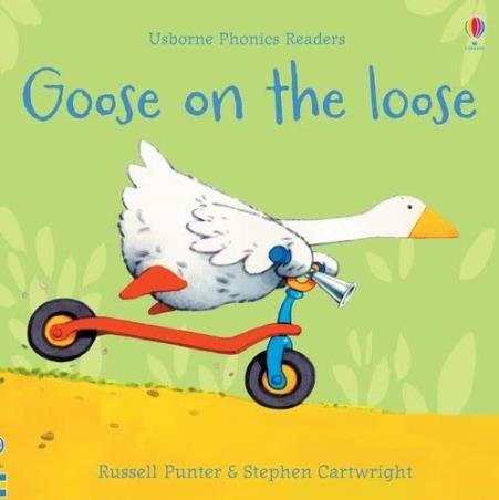 Book cover number 1 for Goose On The Loose written by Russell Punter published by Usborne