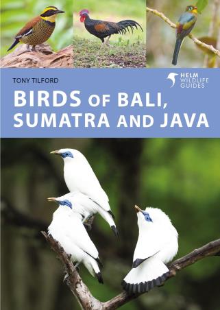 Book cover number 1 for Birds Of Bali, Sumatra And Java (Helm Wildlife Guides) written by Tony Tilford published by Helm