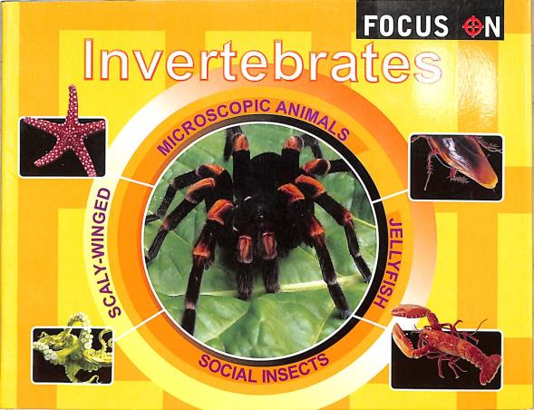 Book cover number 1 for Focus On Invertebrates written by NA published by Book Palace
