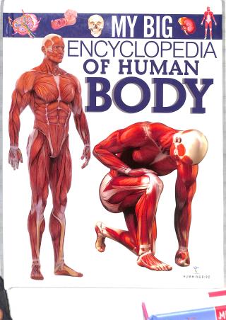 Book cover number 1 for My Big Encyclopedia Of Human Body written by NA published by Paperweight